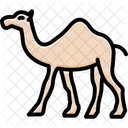 Camel Mammal Desert Icon