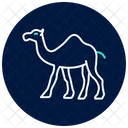 Camel Icon