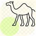 Camel Icon