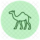 Camel Icon
