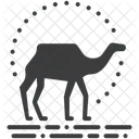 Camel  Icon
