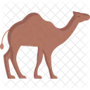 Camel  Icon