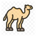 Camel  Icon