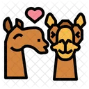 Camel Love  Icon