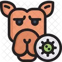 Camel Virus  Icon