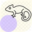 Cameleon Reptile Ecailleux Icône