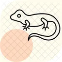 Cameleon Voile Cameleon Voile Reptile Icône