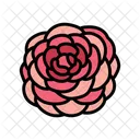 Camellia Flower Spring Icon