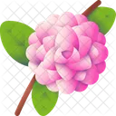 Camellia Flower Blossom Icon
