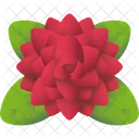 Camellia Flower Blossom Icon