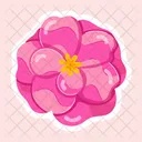 Camellia Japonica  Icon