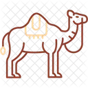Camello  Icono