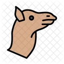 Camello Cara Zoologico Icono