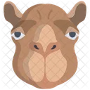 Camello  Icono