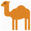Camen Animal Arab Icon