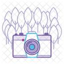 Camera Video Photography Icon