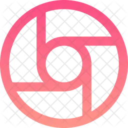 Camera  Icon