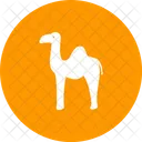 Cammello  Icon