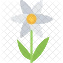 Camomile Flower Natural Icon