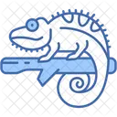 Camouflage  Icon