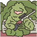 Camouflage  Icon