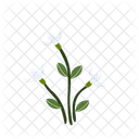 Campanilla De Invierno Flor Floral Icono