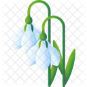 Campanilla Blanca Naturaleza Flor Icono