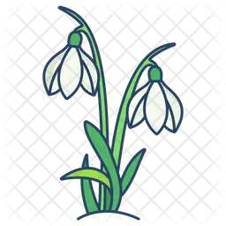 Campanilla de febrero  Icono