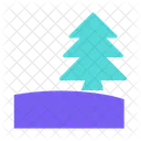 Camping Fir Tree  Icon