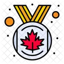 Canada Award  Icon