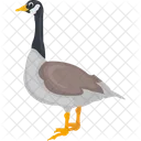 Canadian Goose Icon