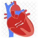 Canal atrioventricular  Ícone
