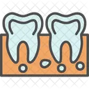 Canal Radicular Odontologico Dentista Ícone