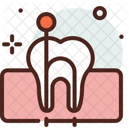 Canal Root  Icon