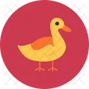 Canard Animal Oiseau Icon