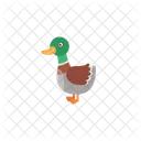 Canard Jouet Animal Icon