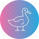 Canard Animal Oiseau Icon