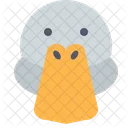 Canard Icon