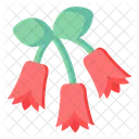 Canarina Flowers  Icon