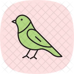 Canario  Icono