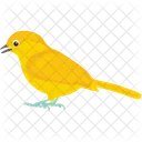 Canário  Ícone