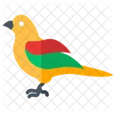 Canary Songbird Pet Canary Icône