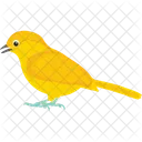 Canary Icon
