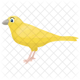 Canary  Icon
