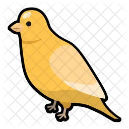 Canary  Icon