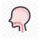Cancer Head Neck Icon