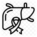Cancer De Higado Higado Dia De Concientizacion Icono