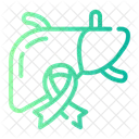 Cancer De Higado Higado Dia De Concientizacion Icono