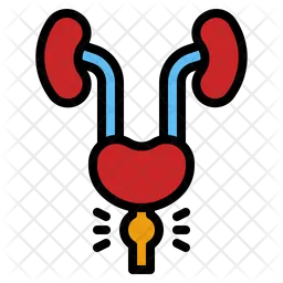 Cancer de prostata  Icono