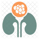 Cancer de RIÑON  Icono